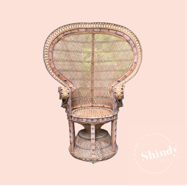 Vintage Peacock Chair-Black Detail